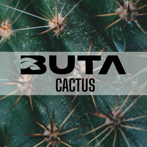 Тютюн Buta Gold Cactus (Кактус) 50 гр
