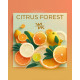 Табак WhiteSmok Citrus Forest (Цитрусовый Лес) 50 гр
